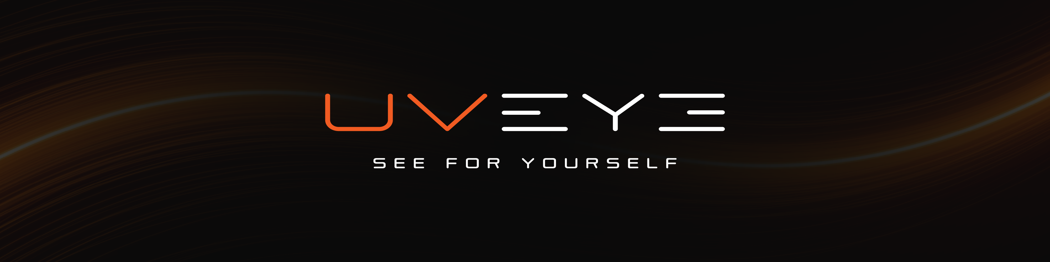 UVeye. See for yourself.